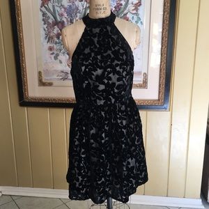 Ark & Co black velvet sexy dress MEDIUM EUC